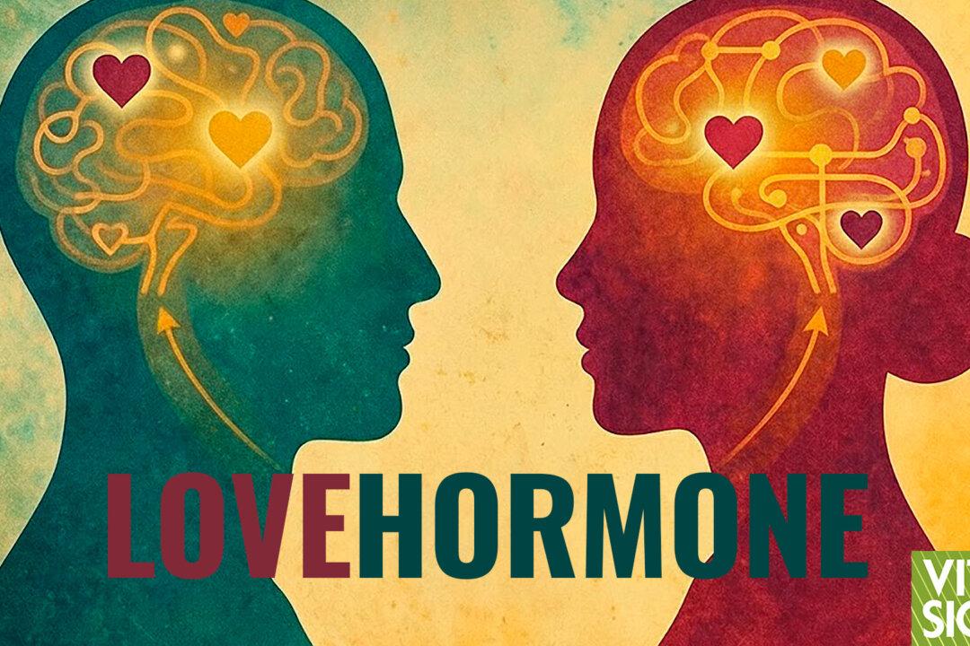 Why Men and Women Need Each Other: The Biochemistry of Love