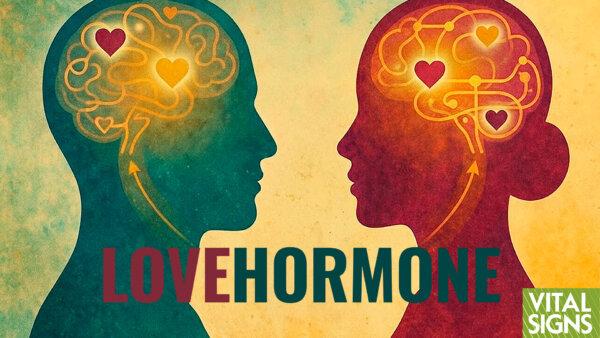 Why Men and Women Need Each Other: The Biochemistry of Love