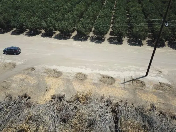 California Farming CEO Flags Investment Pitfalls, Urges Sustainable Focus