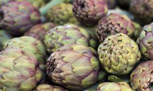 Environmental Nutrition: The Heart of the Artichoke