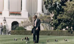 Laughter in the Oval Office: Presidents and the Healing Power of a Well-Timed Joke