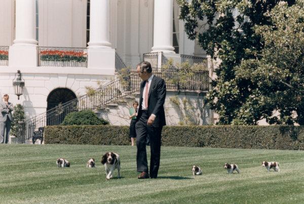 Laughter in the Oval Office: Presidents and the Healing Power of a Well-Timed Joke