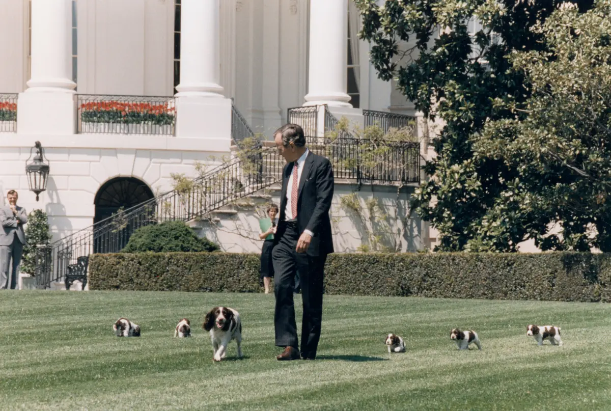 Laughter in the Oval Office: Presidents and the Healing Power of a Well-Timed Joke