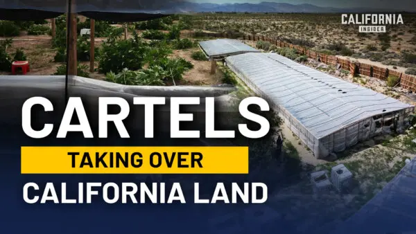 How Deep is Cartel Influence in Northern California Farm Fields?