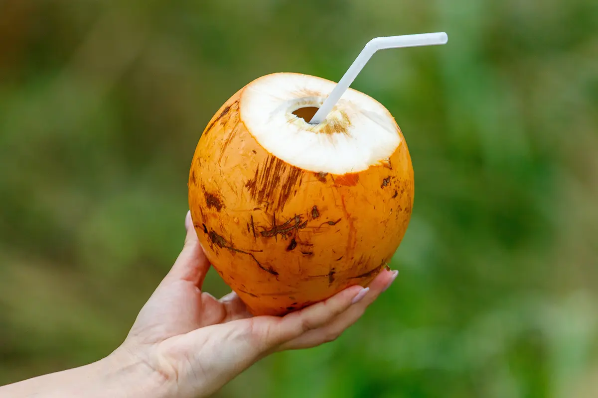 Nature’s Electrolyte Drink: Why Coconut Water Is So Hydrating thumbnail