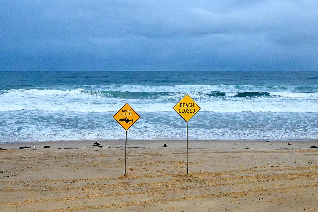Fourth Shark Attack Confirmed in NSW as More Beaches Close