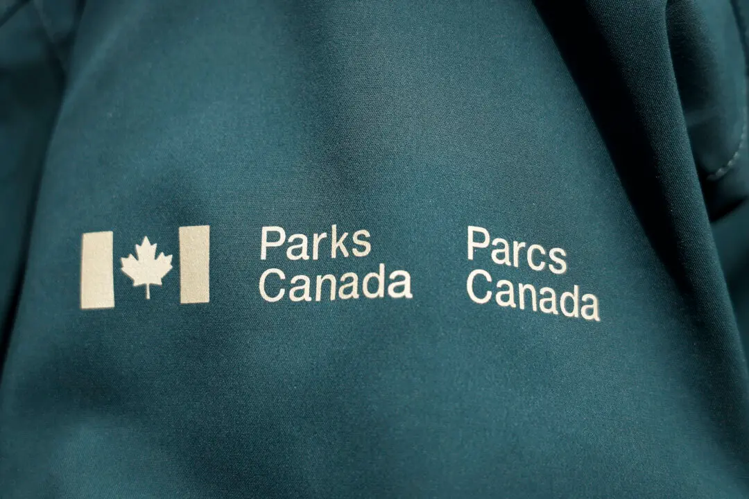 Skier ‘Uninjured’ After Being Caught Up in Avalanche in Banff National Park: Parks Canada