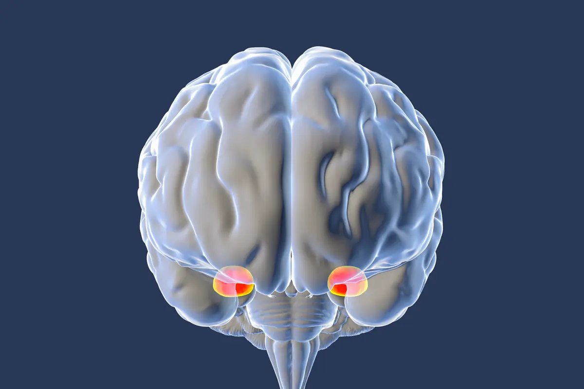 Why Your Brain Overreacts to Fear—and How to Fix It