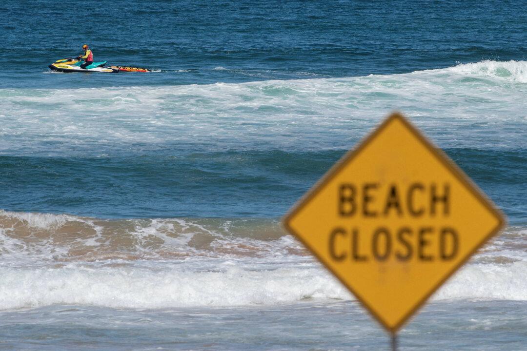 Australian Boy Dies After Shark Attack in Sydney Harbour