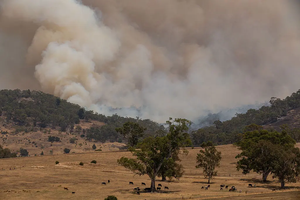 Thousands of Victorian Residents told to Leave Before Sunset as Massive Fire Spreads
