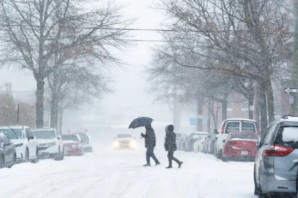 Natural Gas Prices Settle 2 Percent Lower Despite Record Storage Drawdown Amid Storm