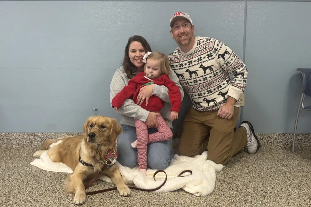 Service Dogs Provide Families With ‘Peace of Mind’