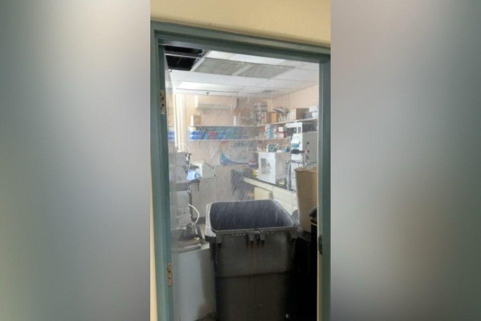 Labs Flooded as Pipes Burst at Montreal Mental Health Hospital Institute
