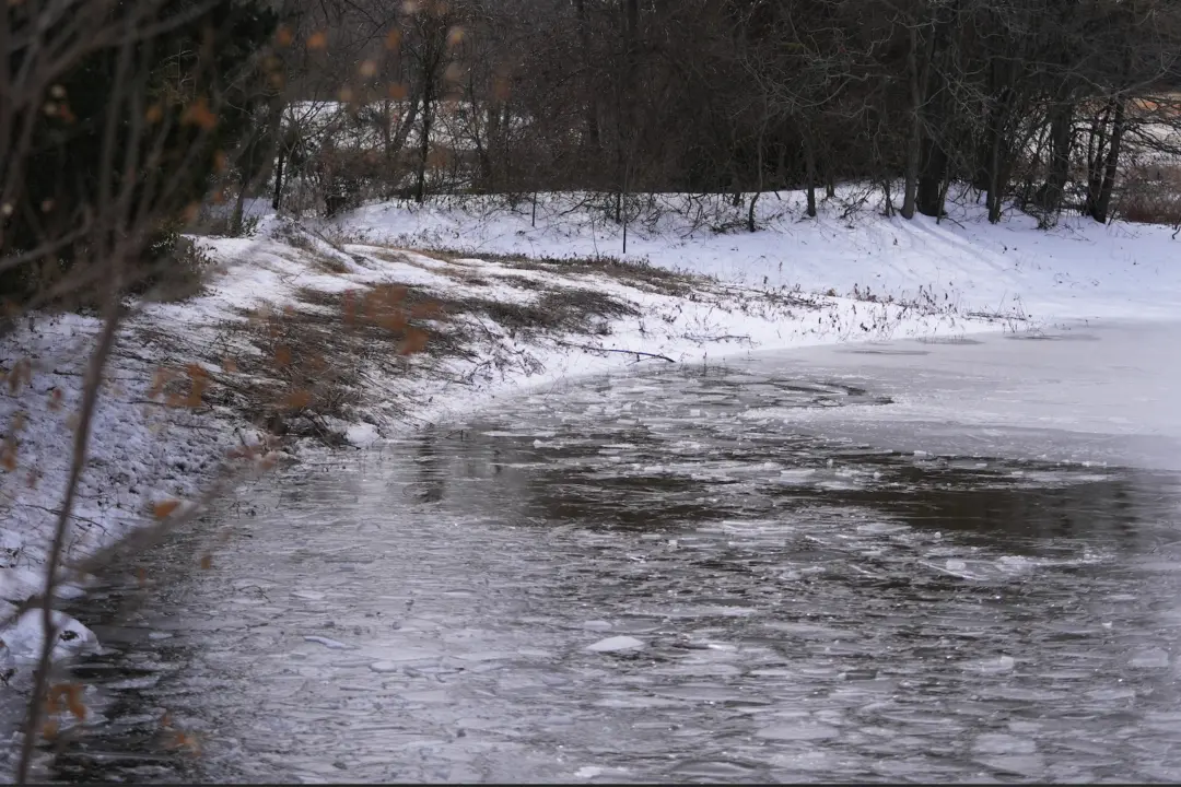 3 Young Brothers in Texas Die After Falling Through Icy Pond During Winter Storm