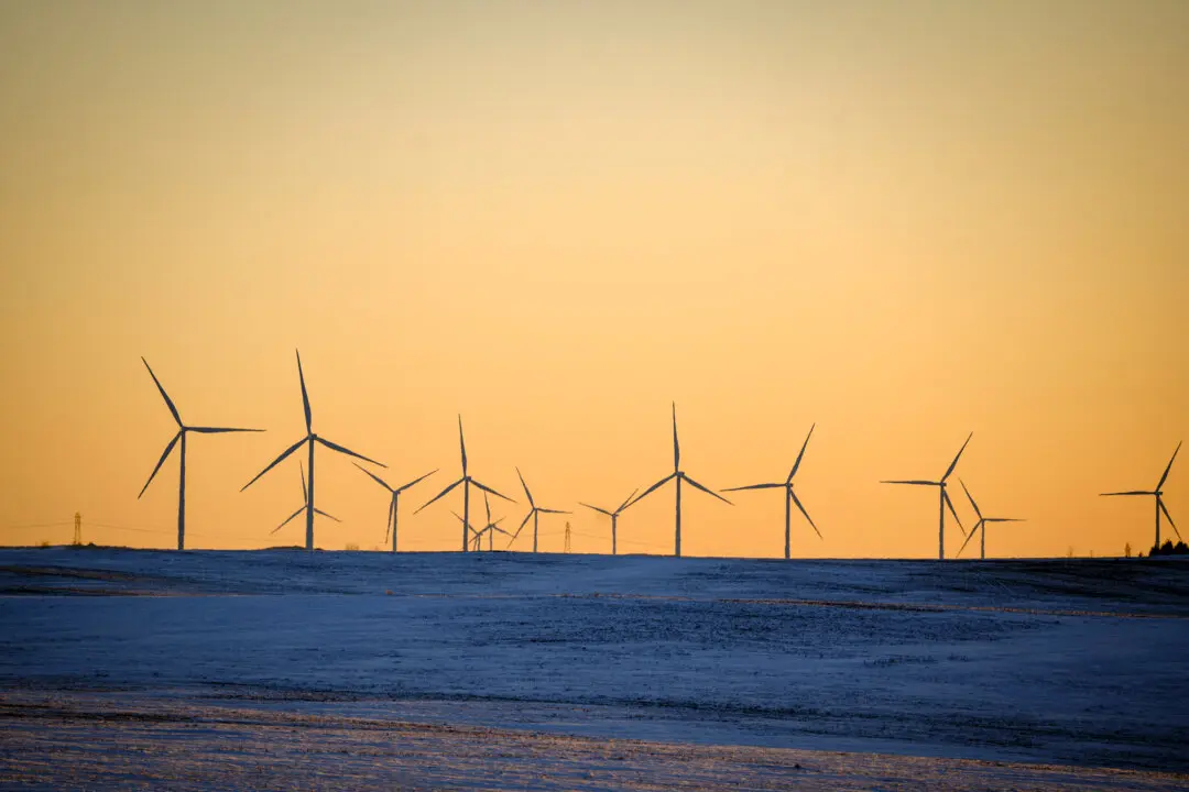 NY and 6 States Sue Federal Government Over Canceled Wind Project