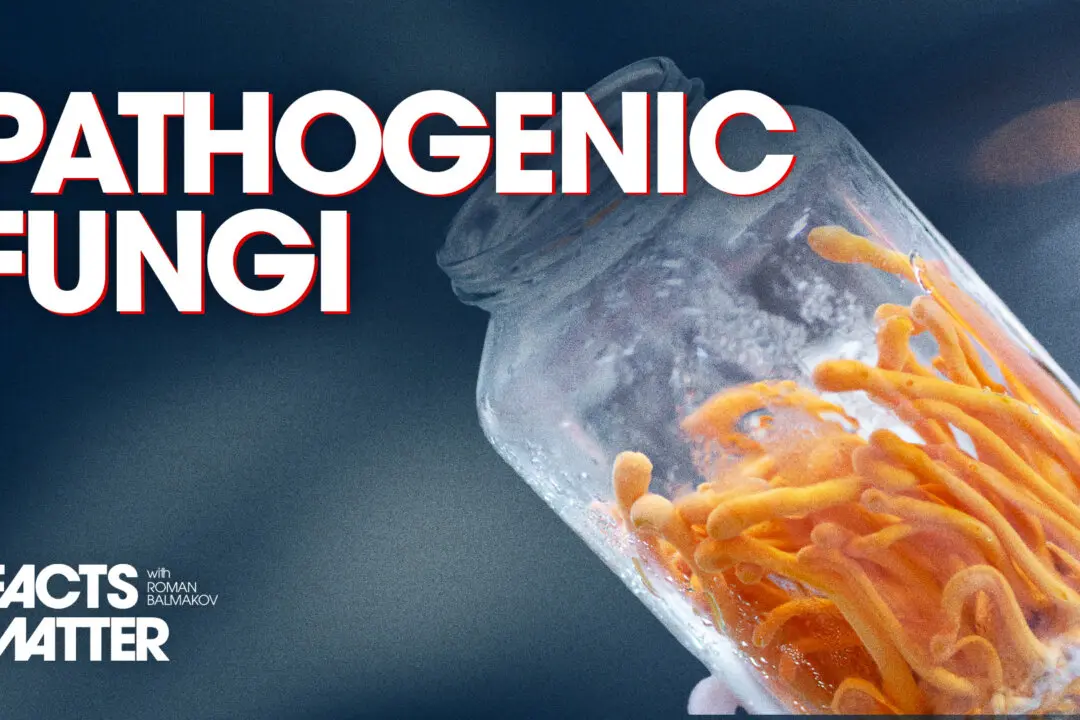 Two Pathogenic Fungi Crossed the Species Barrier—Can Now Infect Humans