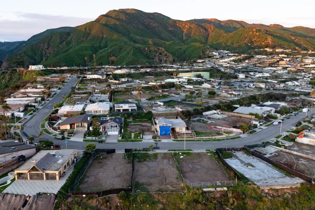 Trump Puts EPA Chief Zeldin in Charge of Expediting California Wildfire Rebuilds