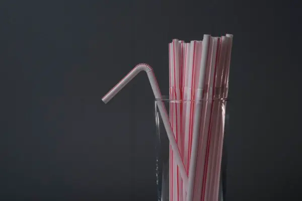 Federal Appeal Court Backs Ottawa on Single-Use Plastics Ban