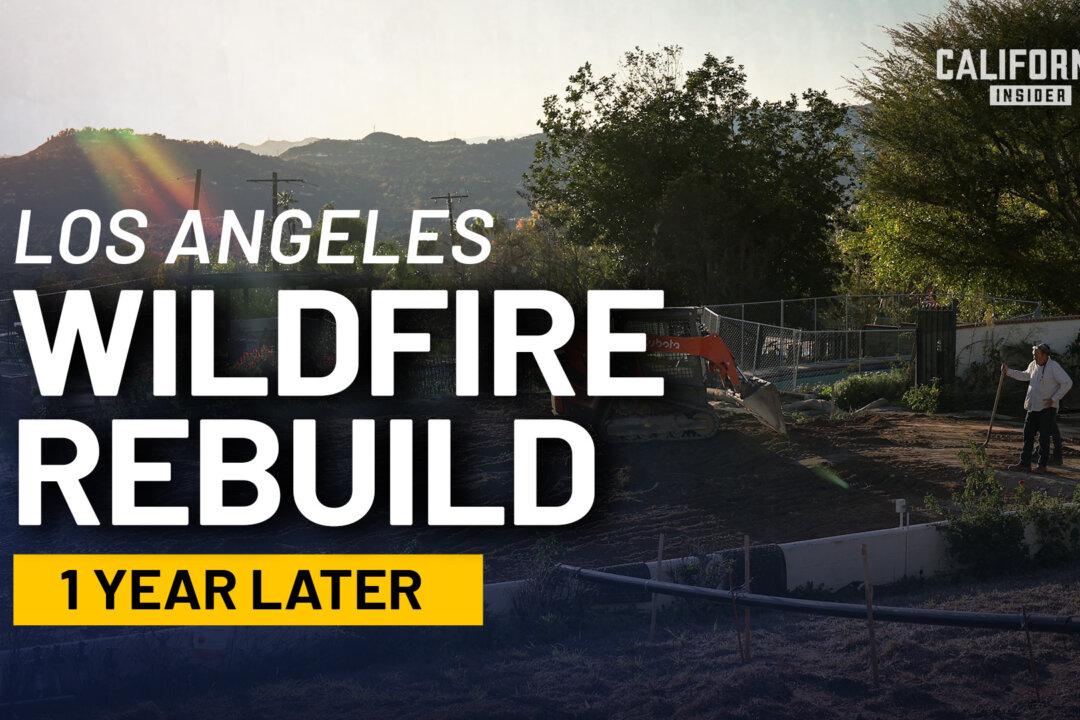 Where the Palisades Stand One Year After the Fires | Builder-Side Panel