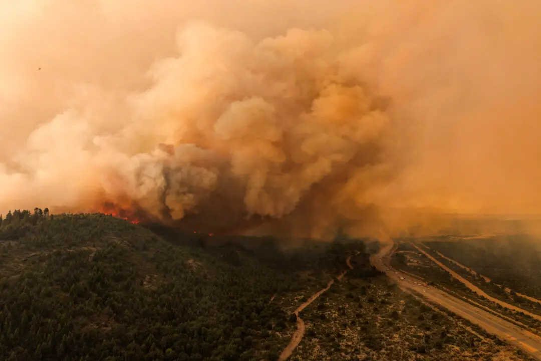 Day in Photos: Forest Fire in Patagonia, Opposition Protests in Uganda, and Annual Groundhog Day