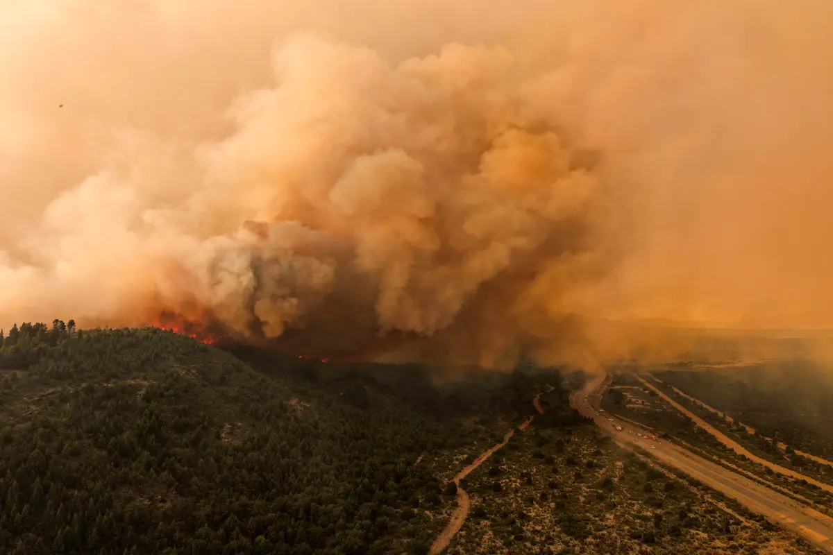 Day in Photos: Forest Fire in Patagonia, Opposition Protests in Uganda, and Annual Groundhog Day