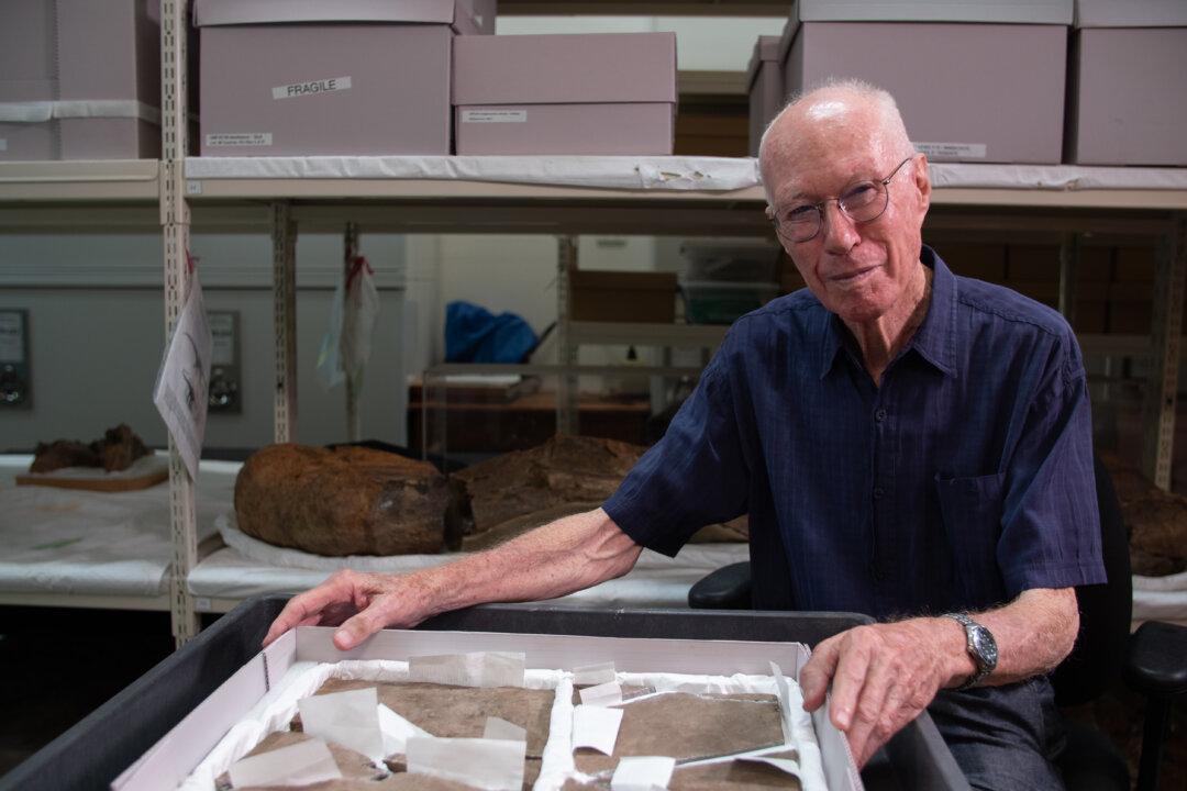 230 Million Year Old Footprint Rewrites Dinosaur History in Australia