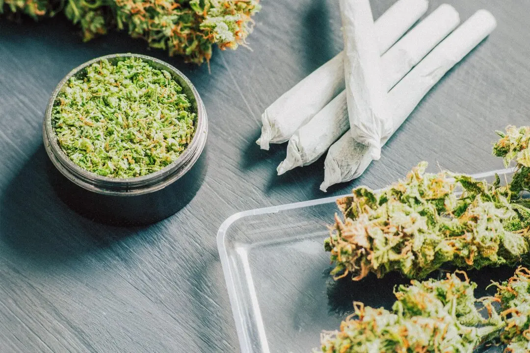 THC Builds Up in the Body, Influencing Inflammation and Immunity