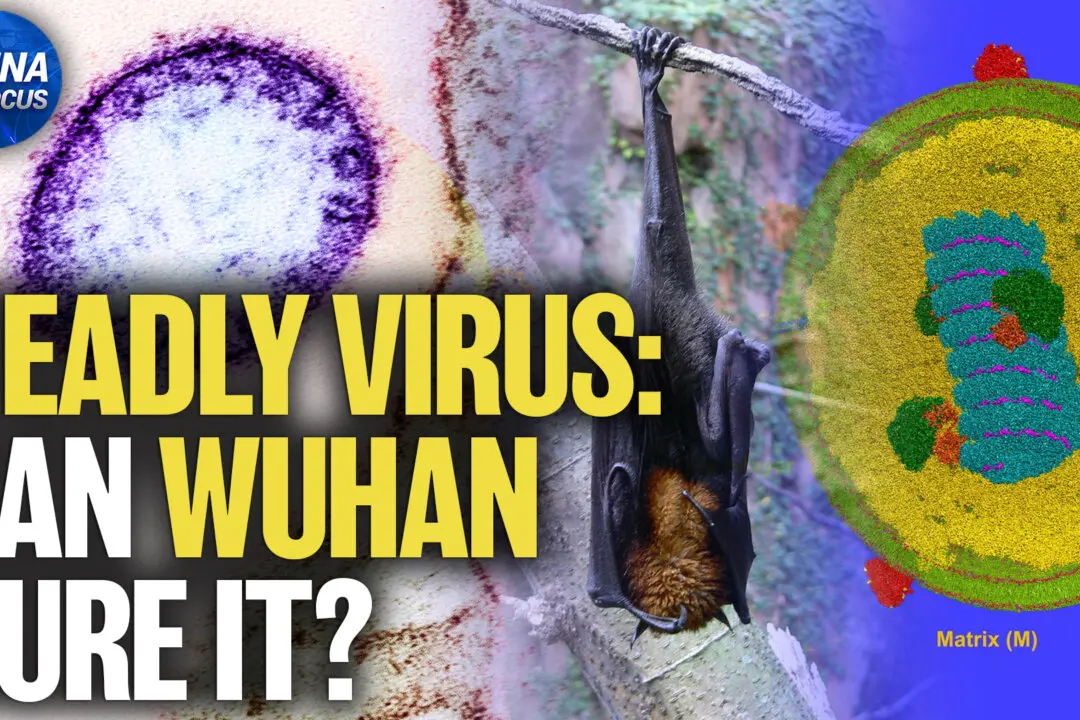 China Preps Nipah Virus Test Kits Despite Claiming No Cases