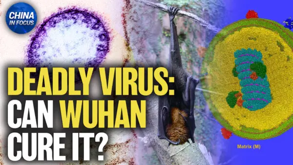 China Preps Nipah Virus Test Kits Despite Claiming No Cases