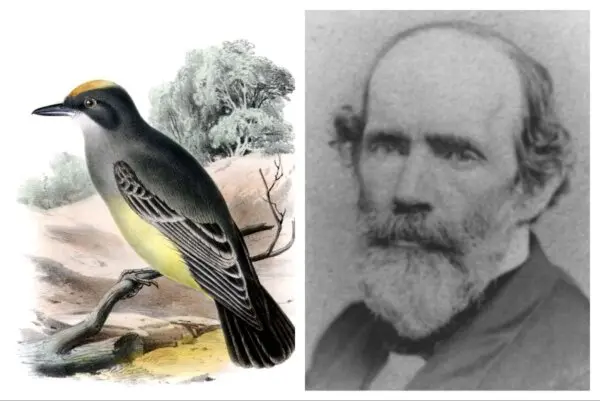 John Cassin: A Life for the Birds