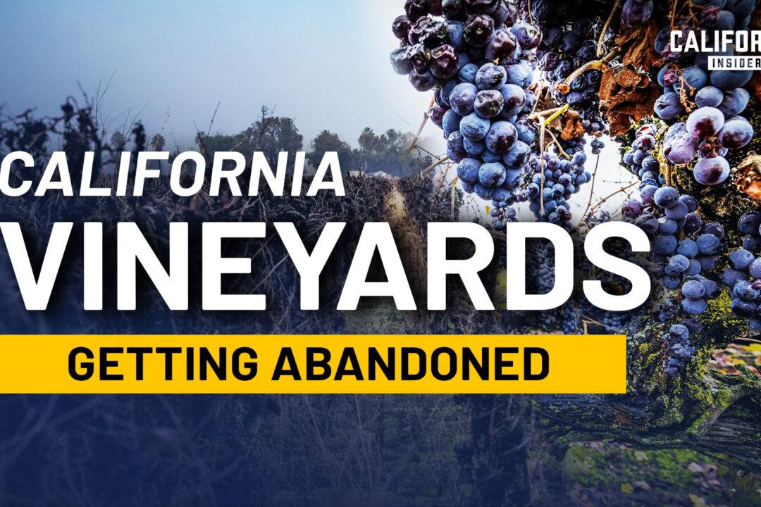 Why California’s Wine Industry Is Under Strain Right Now