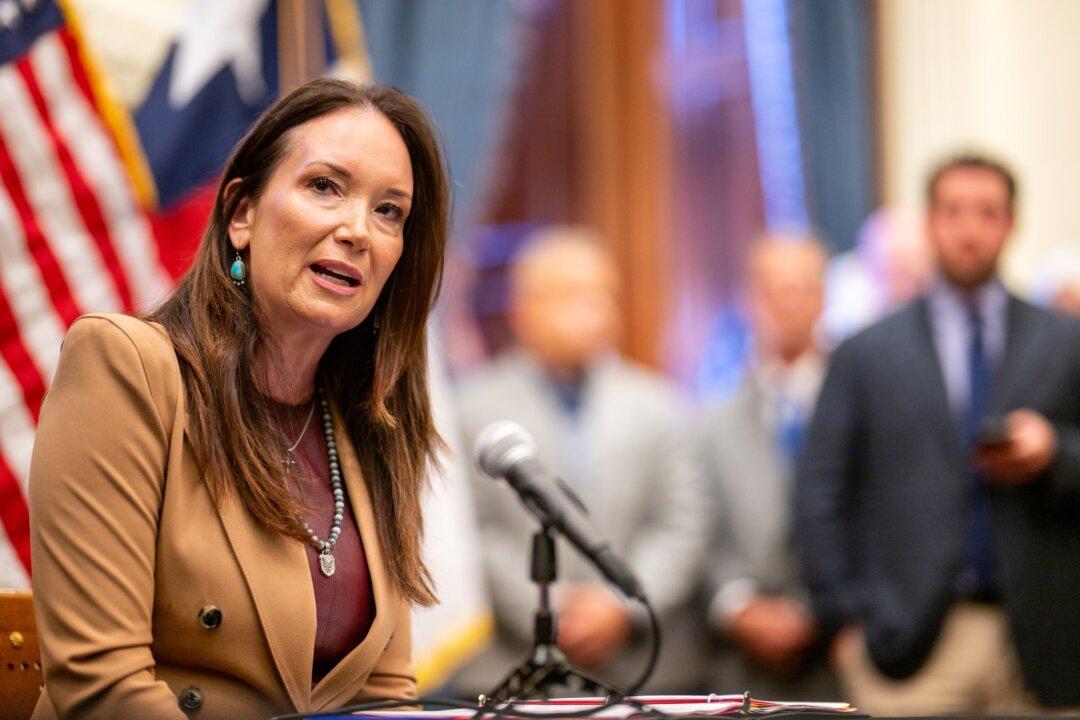 US Fly Production Plant to Open by End of 2027 to Fight Screwworm: USDA