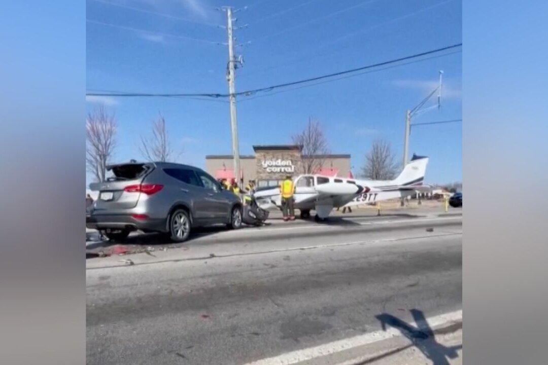 Small Plane Crash-Lands on Gainesville Street During Emergency Landing