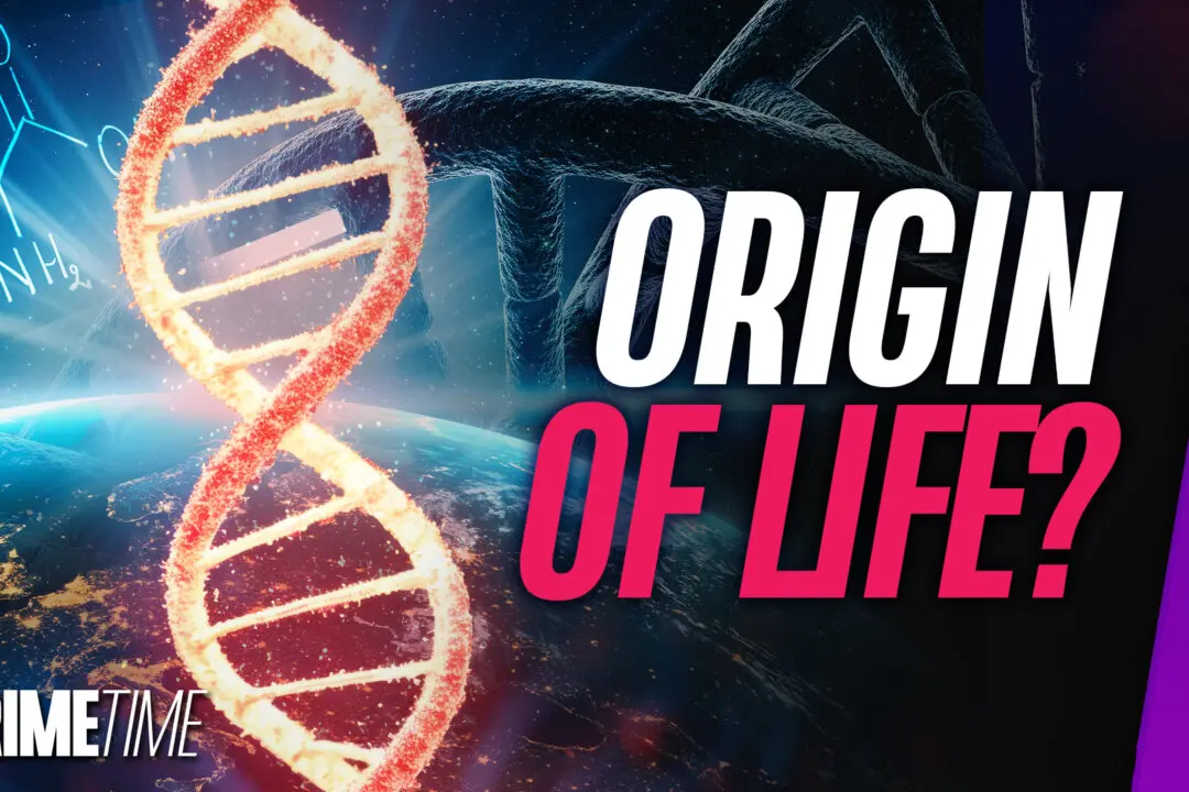 70 Percent of Amino Acids Needed for Life Found on Asteroid: Bonus Segment | NTD Primetime