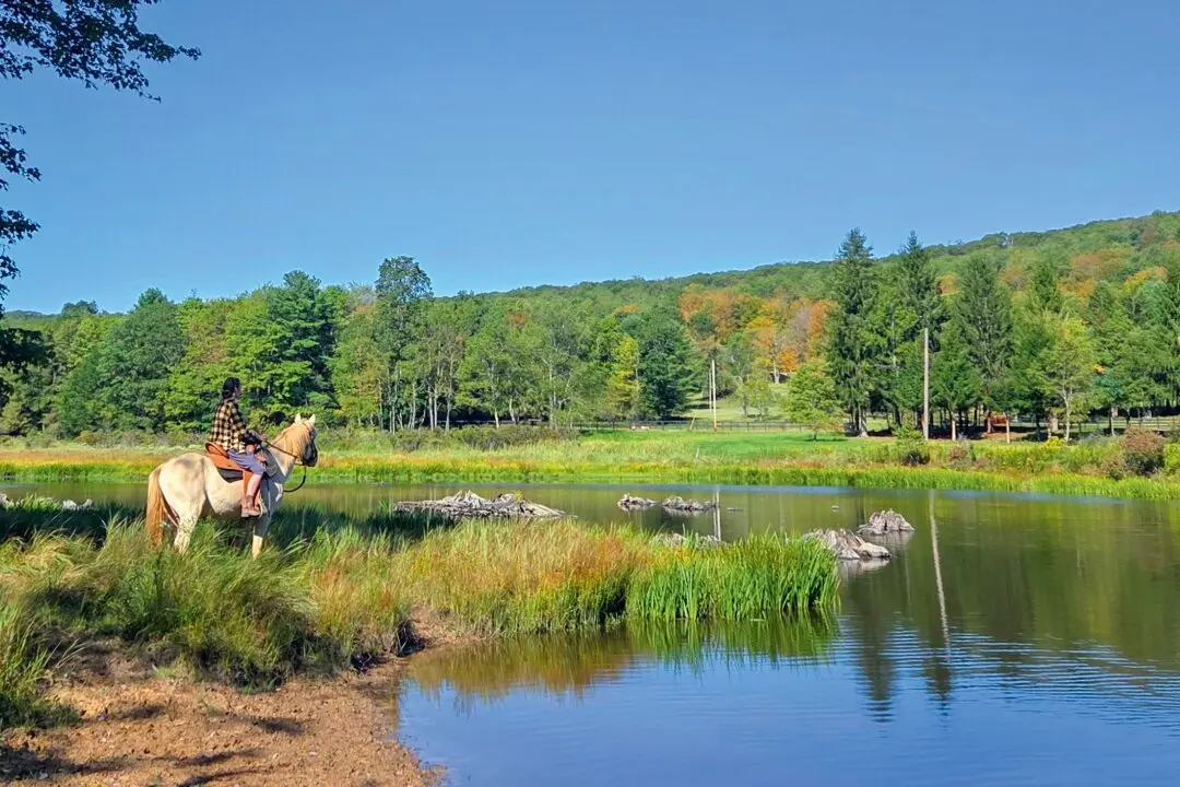 A Camp Hopes to Give Troubled Teens the Chance to Heal Inner Wounds out in Nature