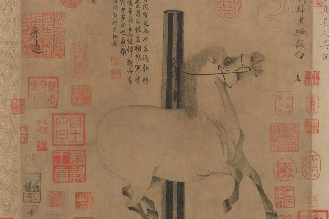 Behold the Beauty: Infatuation and the Spirited Horse ‘Night-Shining White’