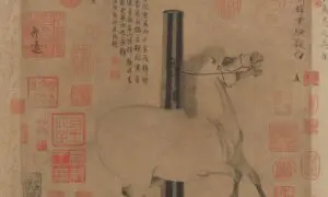 Behold the Beauty: Infatuation and the Spirited Horse ‘Night-Shining White’