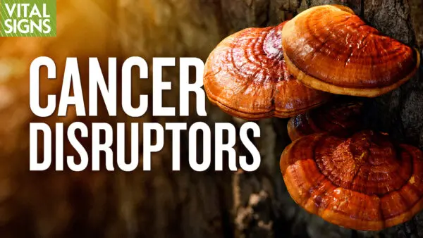 Anti-Cancer: Plants Versus Meds in Activating Immune Shield