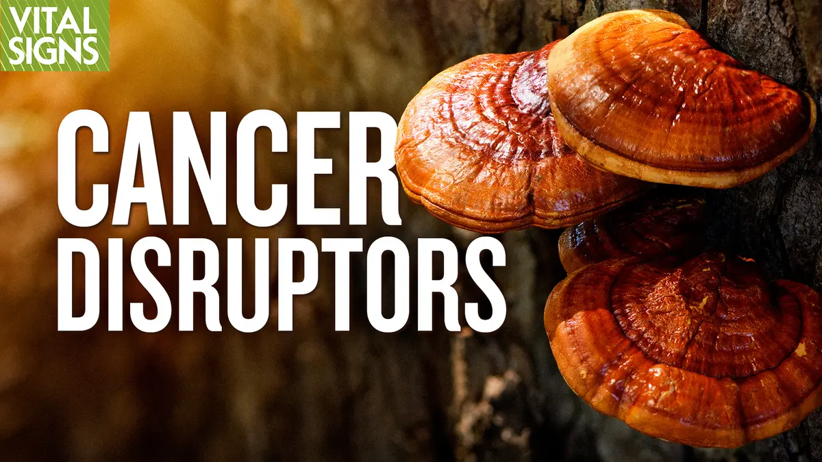 Anti-Cancer: Plants Versus Meds in Activating Immune Shield thumbnail