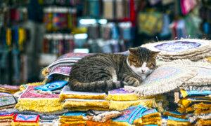 8 Great Literary Cities