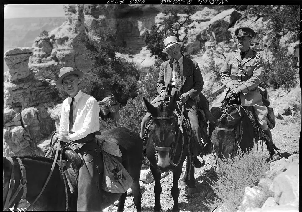 Tune in Today: Of Mules, Music, and the Grand Canyon