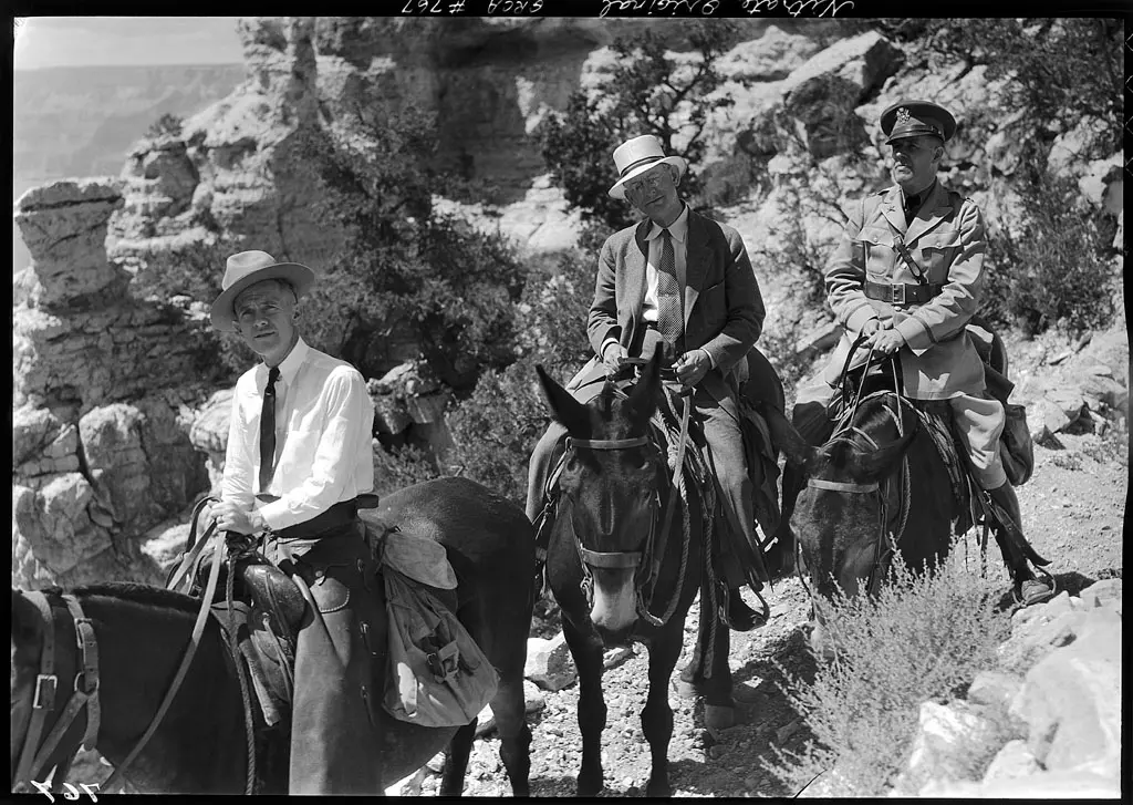 Tune in Today: Of Mules, Music, and the Grand Canyon