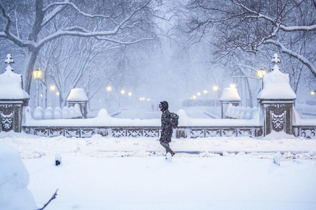 Day in Photos: Snow Storm in the US, New Prime Minister of the Netherlands, and War Against Cartel in Mexico