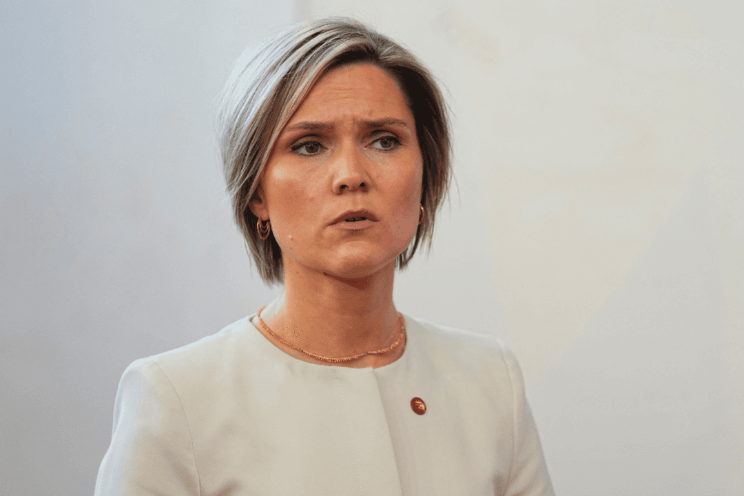 Iceland to Hold Referendum on Restarting EU Accession Talks, Prime Minister Says