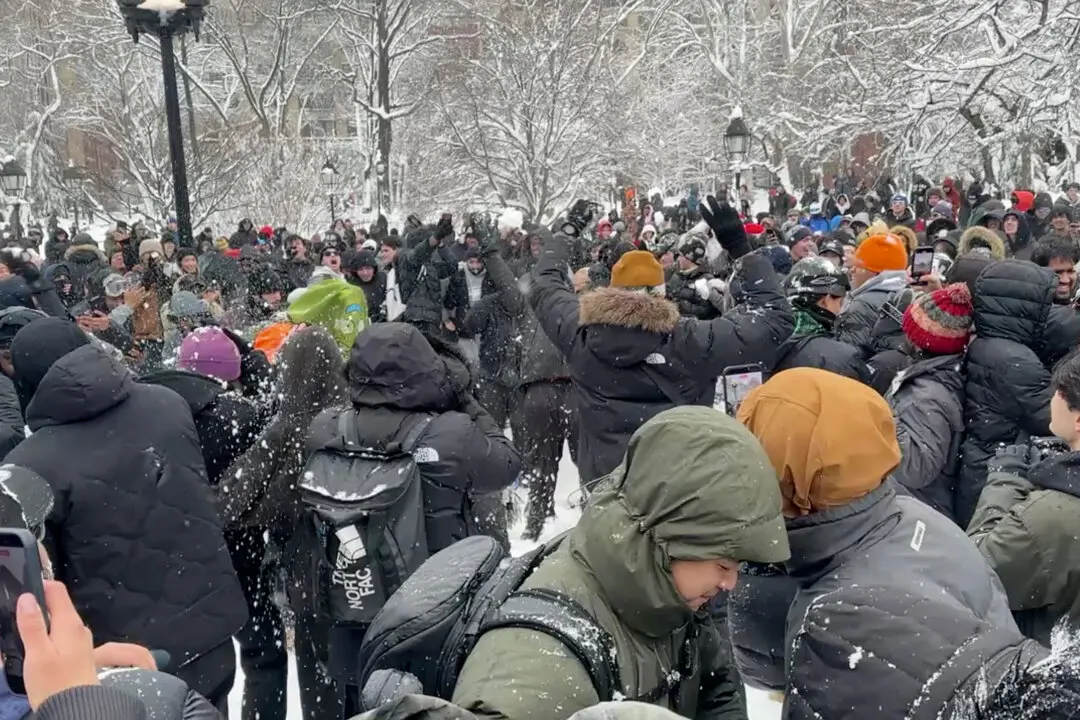 DA Drops Assault Charges Against Man Arrested for Pelting NYPD Officers in Snowball Fight