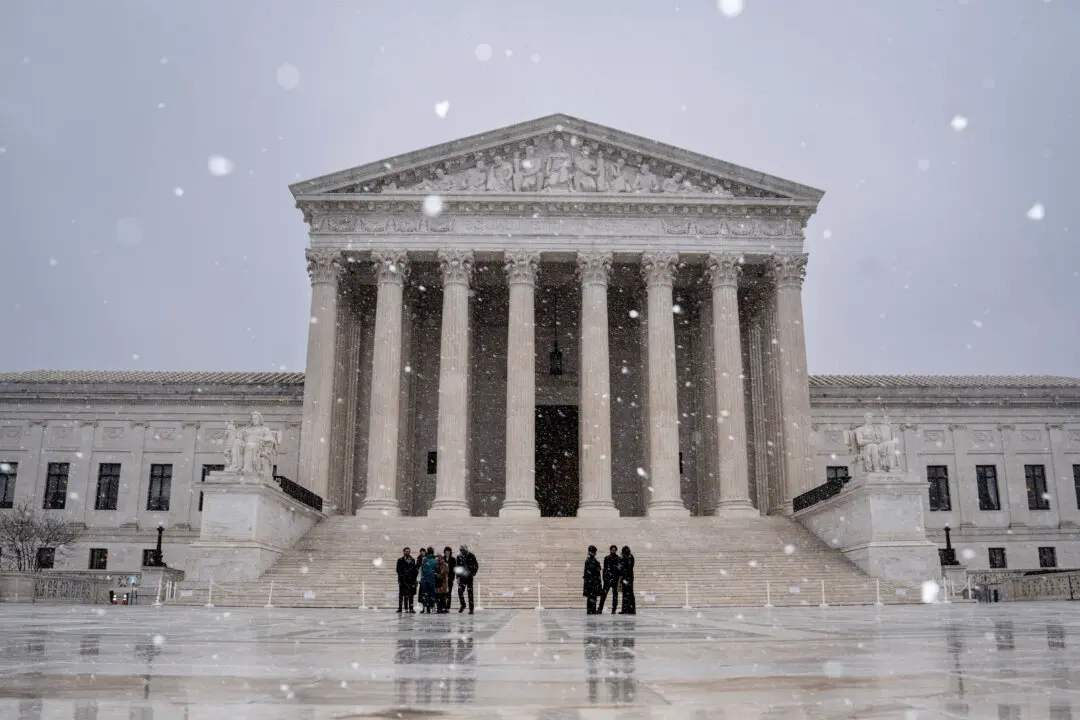 Supreme Court Rules Policeman Accused of Excessive Force by Protester May Not Be Sued