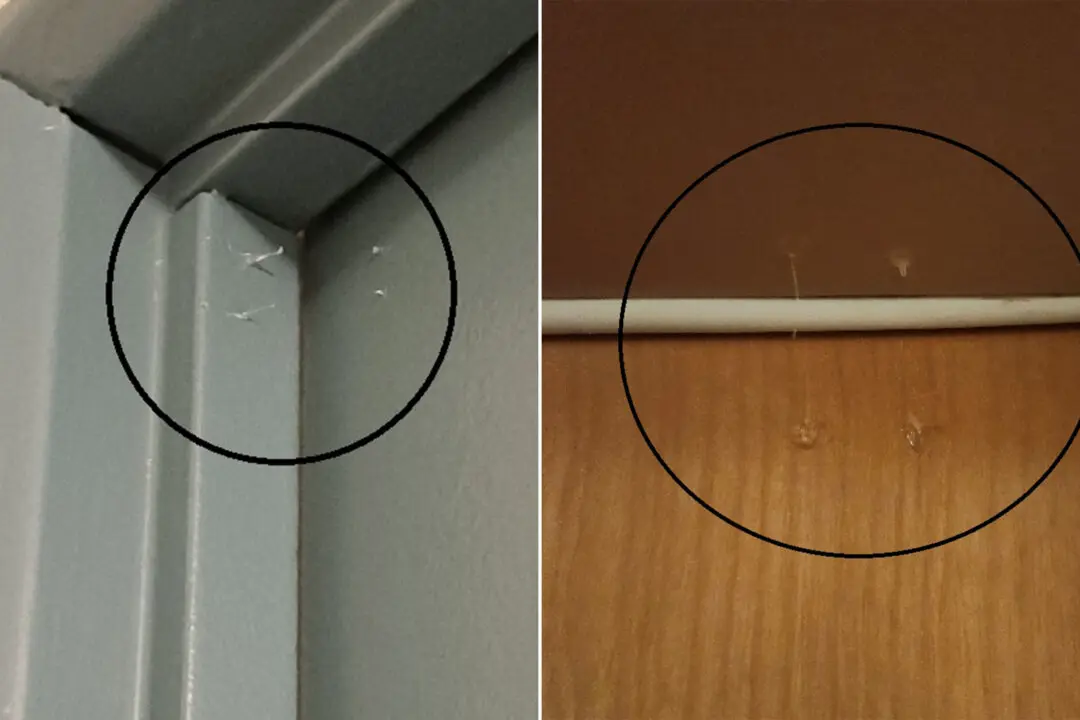 How Sticky-Fingered Thieves Use Hot Glue to Find Break-In Targets in Vancouver