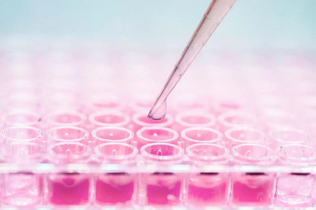 Can Your Cells Heal You? The Promises and Limits of Stem Cell Therapy
