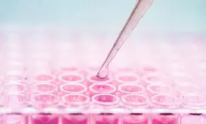 Can Your Cells Heal You? The Promises and Limits of Stem Cell Therapy