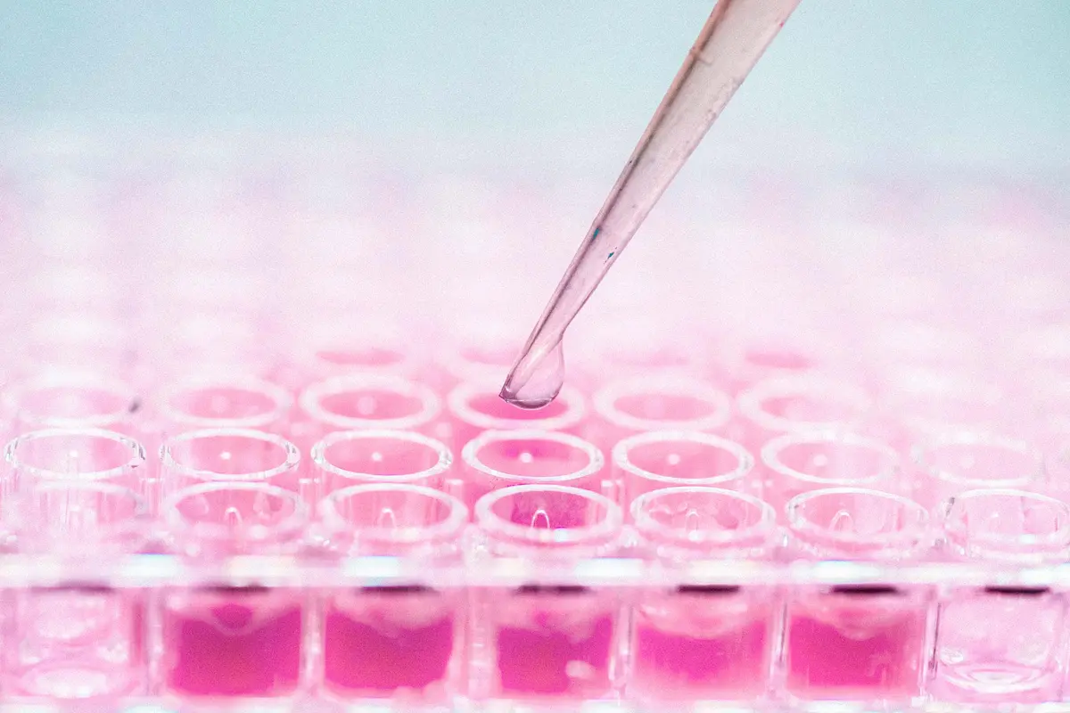 Can Your Cells Heal You? The Promises and Limits of Stem Cell Therapy